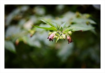 Uber Exif Photo