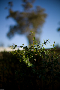 Uber Exif Photo