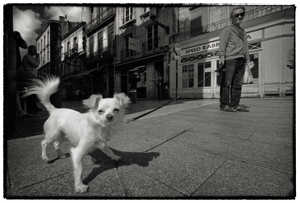 Uber Exif Photo